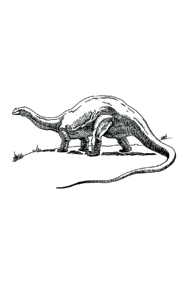 Dinosaur Coloring Book