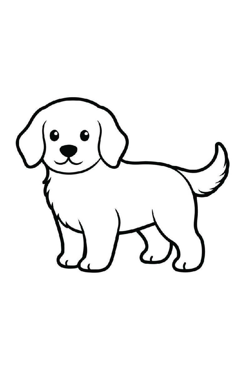Dog Coloring Book