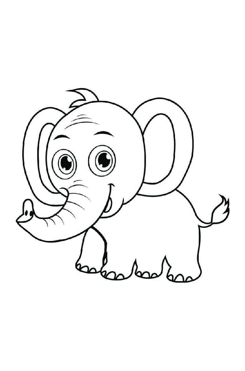 Elephant Coloring Book