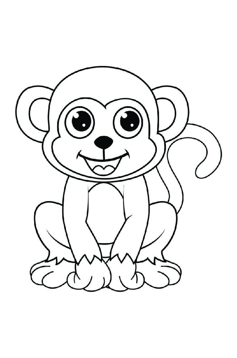 Monkey Coloring Book