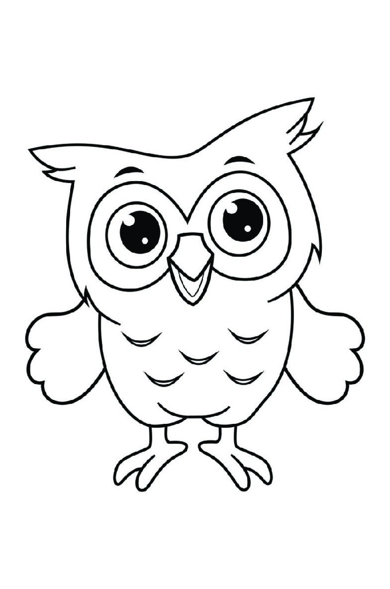 Owl Coloring Book
