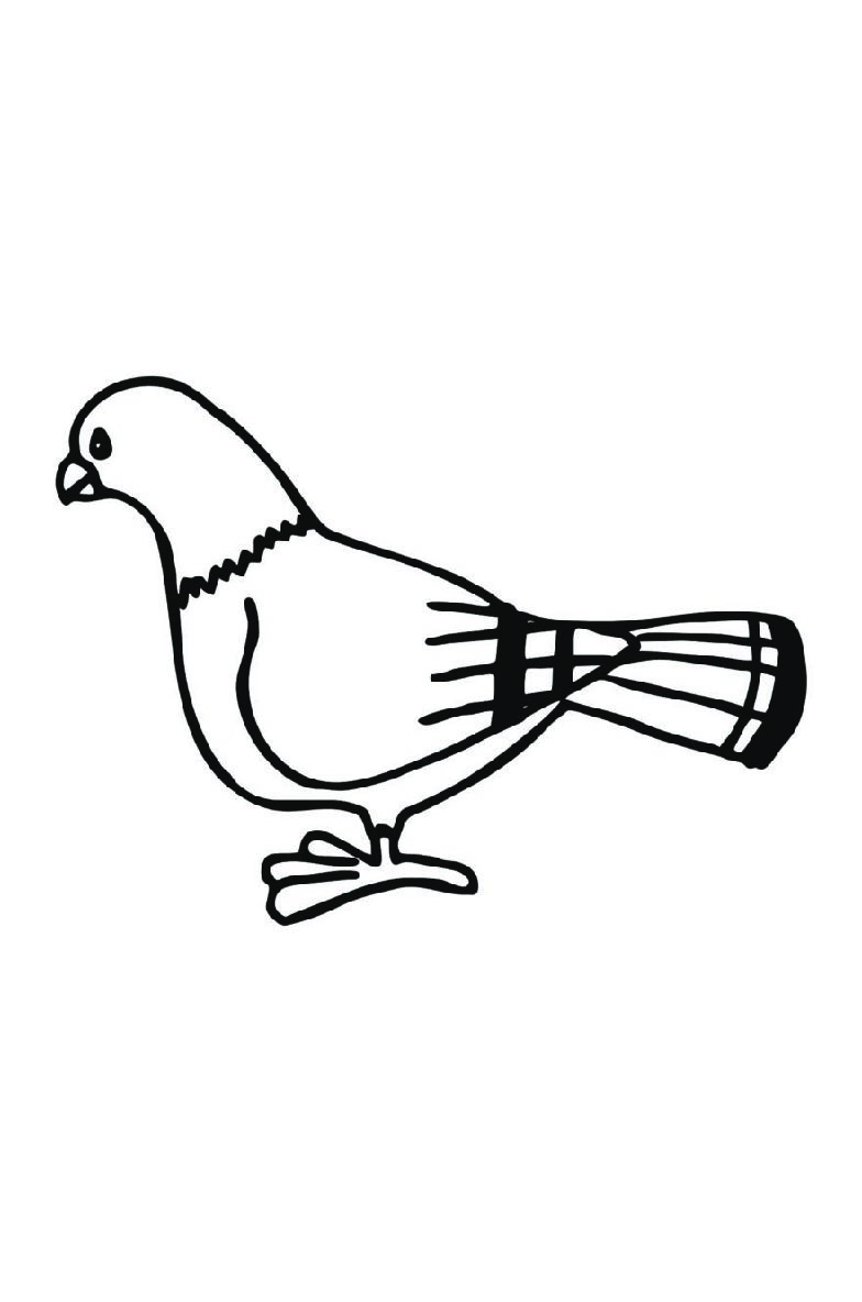 Pigeon Coloring Book