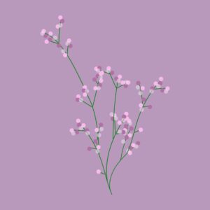 flowers-7856225