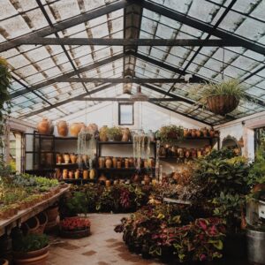 greenhouse-5095328