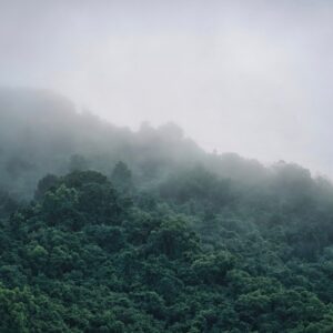 mountain-7619151