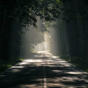 road-2508733_1280