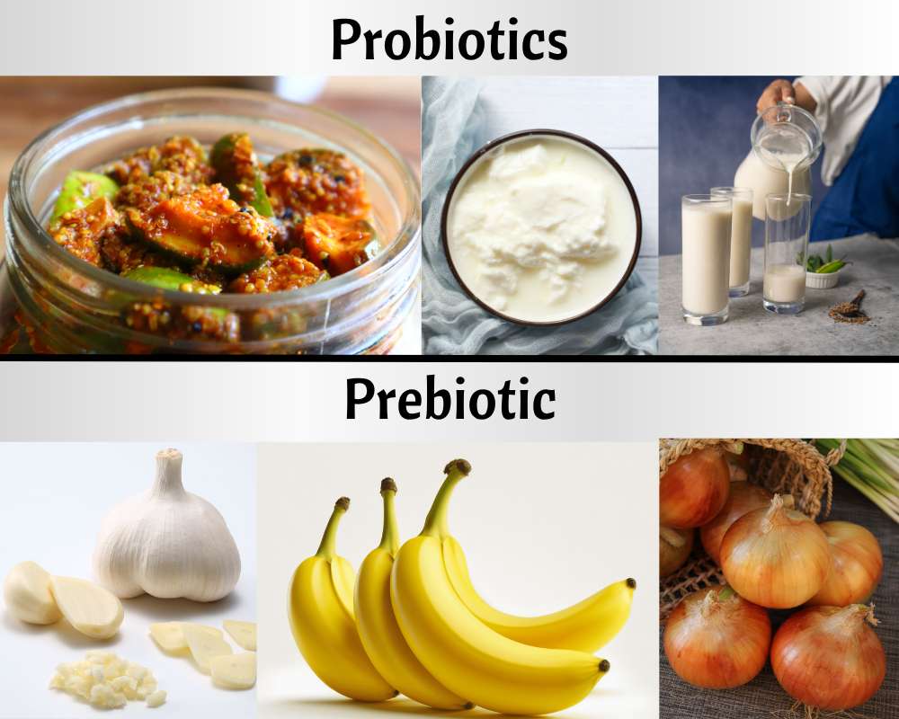 Gut Health Supplements