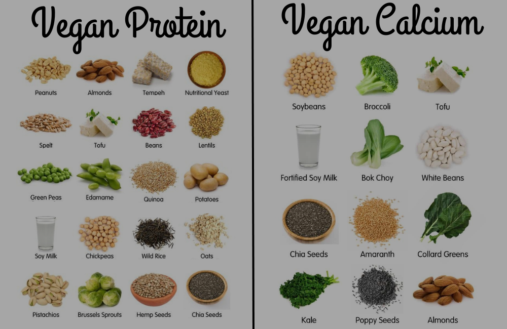 Raw Vegan Meals