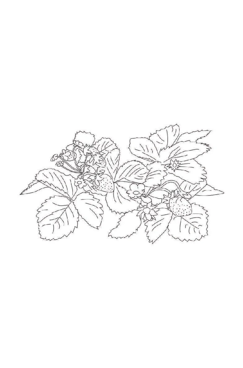 Coloring Book 1