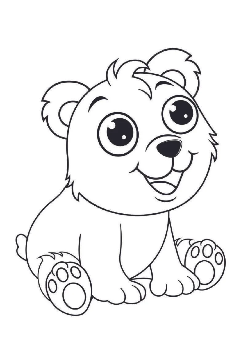 Bear Coloring Book